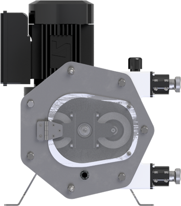 Food-grade Peristaltic Pump - Model F17