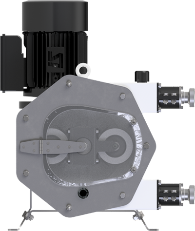 Food-grade Peristaltic Pump - Model F28